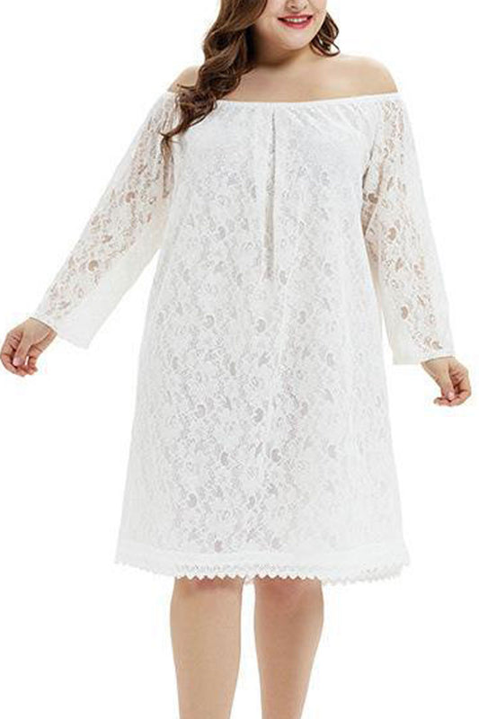 Women Elegant Lace Decorated Off-Shoulder Neck Long Sleeve Superb Loose Fit Shift Dress - WD118195