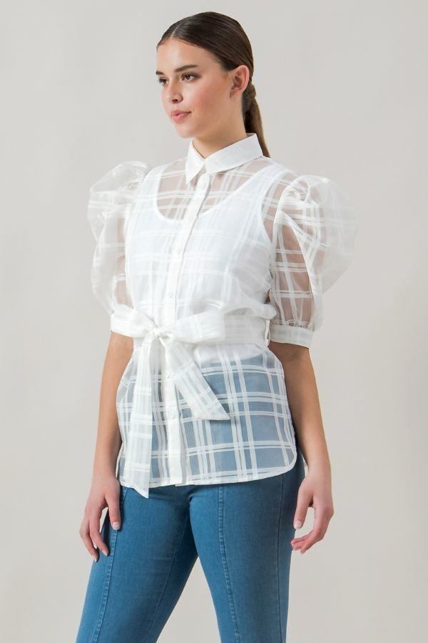 Women's A See-thru Mini Length Organza Top