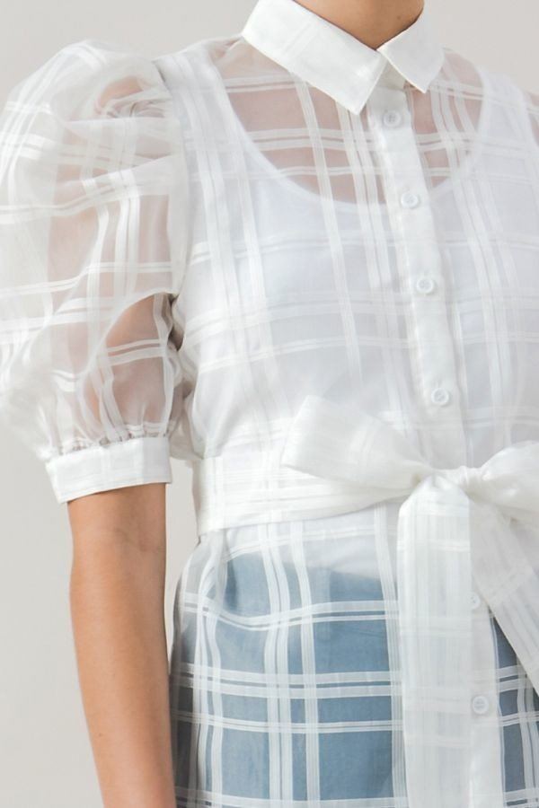 Women's A See-thru Mini Length Organza Top