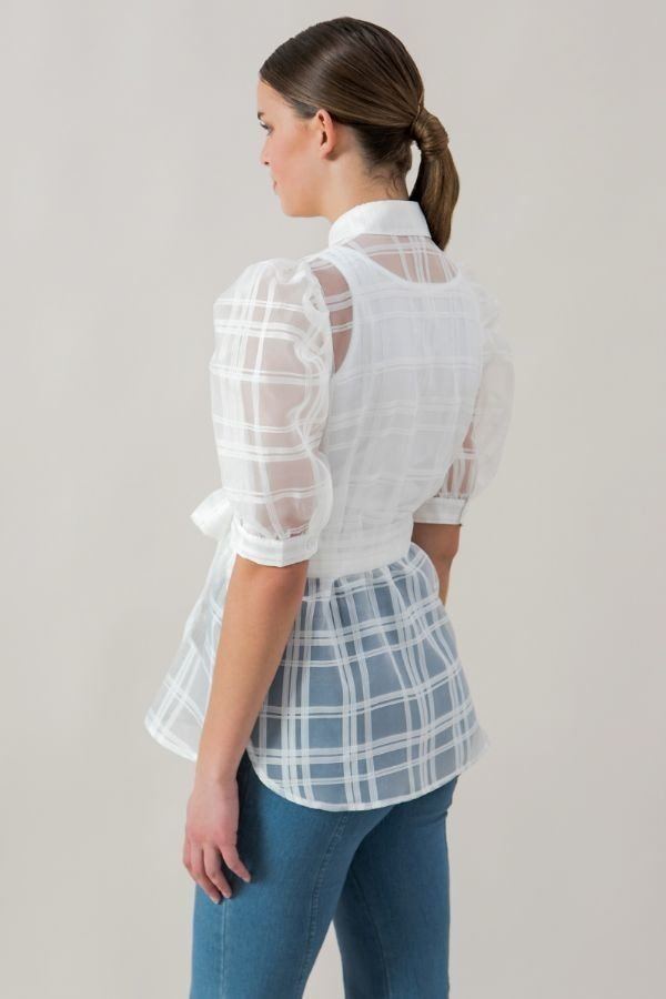 Women's A See-thru Mini Length Organza Top